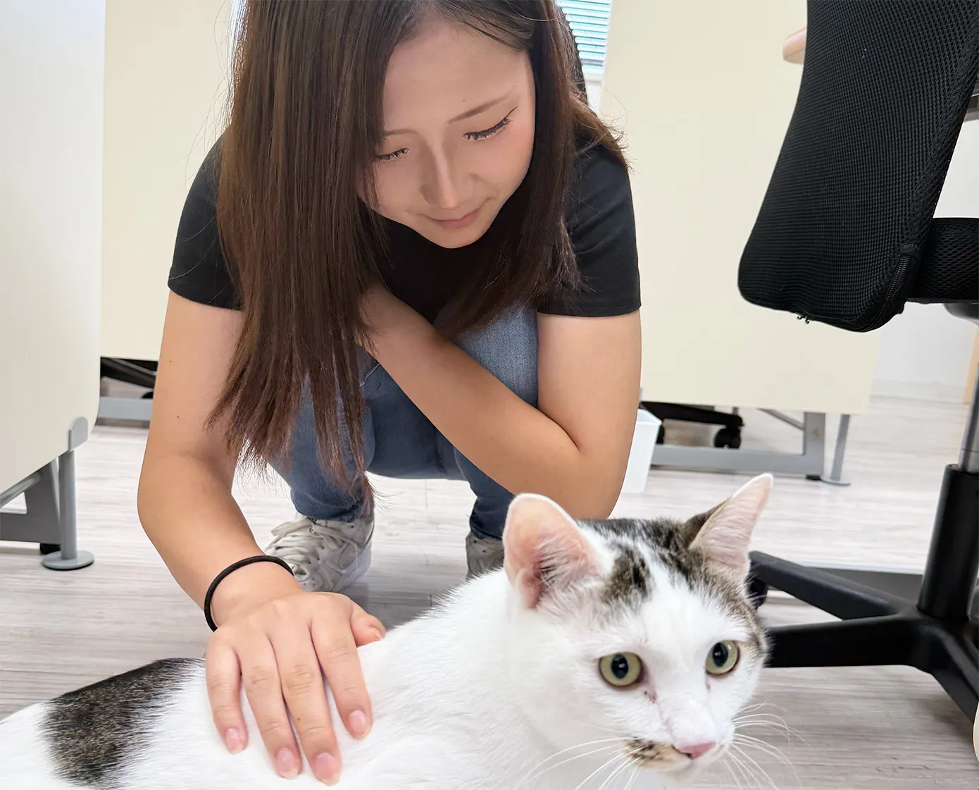 姫路高等学院にいる猫