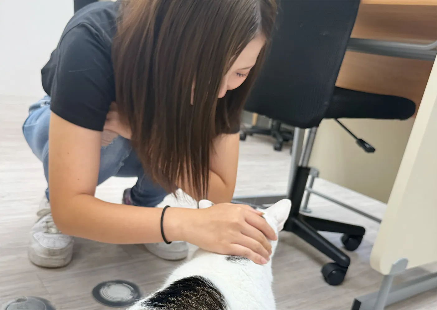 姫路高等学院に通う生徒